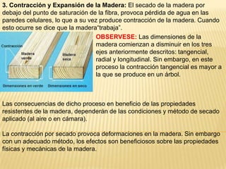3. Contracción y Expansión de la Madera: El secado de la madera por debajo del punto de saturación de la fibra, provoca pérdida de agua en las paredes celulares, lo que a su vez produce contracción de la madera. Cuando esto ocurre se dice que la madera“trabaja”.OBSERVESE:Las dimensiones de la madera comienzan a disminuir en los tres ejes anteriormente descritos: tangencial, radial y longitudinal. Sin embargo, en este proceso la contracción tangencial es mayor a la que se produce en un árbol.Las consecuencias de dicho proceso en beneficio de las propiedades resistentes de la madera, dependerán de las condiciones y método de secado aplicado (al aire o en cámara).La contracción por secado provoca deformaciones en la madera. Sin embargo con un adecuado método, los efectos son beneficiosos sobre las propiedades físicas y mecánicas de la madera.