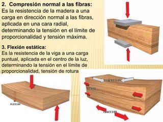 2.  Compresión normal a las fibras:Es la resistencia de la madera a una carga en dirección normal a las fibras, aplicada en una cara radial, determinando la tensión en el límite de proporcionalidad y tensión máxima.3. Flexión estática:Es la resistencia de la viga a una carga puntual, aplicada en el centro de la luz, determinando la tensión en el límite de proporcionalidad, tensión de rotura y el módulo de elasticidad.