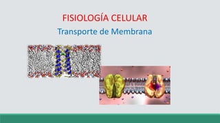 FISIOLOGÍA CELULAR
Transporte de Membrana
 