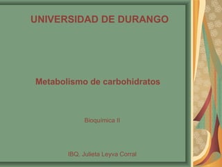 UNIVERSIDAD DE DURANGO
Metabolismo de carbohidratos
Bioquímica II
IBQ. Julieta Leyva Corral
 