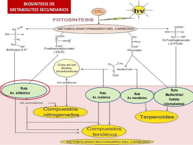 Vivir con dietoterapia nutrición clínica y metabolismo