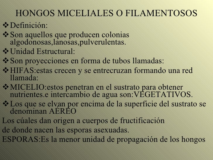 El nombre del hongo de las uñas vikipediya