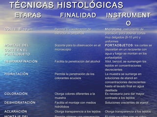 TÉCNICAS HISTOLÓGICASTÉCNICAS HISTOLÓGICAS
ETAPASETAPAS FINALIDADFINALIDAD INSTRUMENTINSTRUMENT
OO
CORTE: 8- 10CORTE: 8- 10 µmµm Permite la visualización dePermite la visualización de
estructuras pequeñasestructuras pequeñas
MicrotomoMicrotomo: instrumento de: instrumento de
precisión, para obtener cortesprecisión, para obtener cortes
muy delgados (8-10muy delgados (8-10 µm)µm) yy
uniformesuniformes
MOMTAJE DELMOMTAJE DEL
CORTE EN ELCORTE EN EL
PORTAOBJETOPORTAOBJETO
Soporte para la observación en elSoporte para la observación en el
microscopiomicroscopio
PORTAOBJETOSPORTAOBJETOS : los cortes se: los cortes se
depositan en un recipiente condepositan en un recipiente con
agua y luego se montan en losagua y luego se montan en los
portaobjetosportaobjetos
DESPARAFINACIÓNDESPARAFINACIÓN Facilita la penetración del alcoholFacilita la penetración del alcohol Xilol, benzol, se sumengen losXilol, benzol, se sumengen los
tejidos en concentracionestejidos en concentraciones
decrecientesdecrecientes
HIDRATACIÓNHIDRATACIÓN Permite la penetración de losPermite la penetración de los
colorantes acuososcolorantes acuosos
La muestra se sumerge enLa muestra se sumerge en
soluciones de etanol ensoluciones de etanol en
concentraciones decrecientesconcentraciones decrecientes
hasta el lavado final en aguahasta el lavado final en agua
destiladadestilada
COLORACIÓNCOLORACIÓN Otorga colores diferentes a laOtorga colores diferentes a la
muestramuestra
Es necesaria para dar mayorEs necesaria para dar mayor
contraste a los tejidoscontraste a los tejidos
DESHIDRATACIÓNDESHIDRATACIÓN Facilita el montaje con mediosFacilita el montaje con medios
hidrófoboshidrófobos
Soluciones crecientes de etanolSoluciones crecientes de etanol
ACLARACIÓNACLARACIÓN Otorga transparencia a los tejidosOtorga transparencia a los tejidos Otorga transparencia a los tejidosOtorga transparencia a los tejidos
 