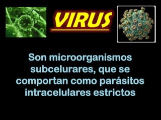 Son microorganismos
   subcelurares, que se
comportan como parásitos
  intracelulares estrictos
 