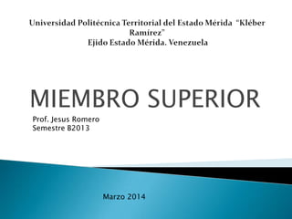 MIEMBRO SUPERIOR
Prof. Jesus Romero
Semestre B2013
Marzo 2014
 