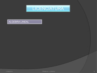 LICENCIATURA
ALGEBRA LINEAL
11/06/2014 TRABAJO - CONGUI 6