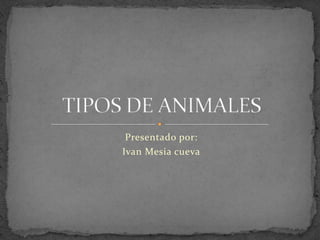 Presentado por: Ivan Mesia cueva TIPOS DE ANIMALES 