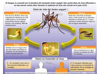 Transmisión del dengue
 