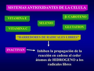 SISTEMAS ANTIOXIDANTES DE LA CELULA

VITAMINA E                     β- CAROTENO
                SELENIO
                               GLUTATION
VITAMINA C

     “BARREDORES DE RADICALES LIBRES”



INACTIVAN      Inhiben la propagación de la
                reacción en cadena al ceder
              átomos de HIDROGENO a los
                      radicales libres
 