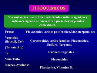 FITOQUIMICOS

  Son sustancias que exhiben actividades antimutagenicas y
    anticancerigenas, se encuentran presentes en plantas
                         comestibles.

Frutas           Flavonoides, Acidos polifenolico,Monoterpenoides
Vegetales
(Brocoli, Col)      Carotenoides, Acido fenolico, Flavonoides,
                               Sulfuro, Terpenos
(Tomate,Ajo)
Te                              Fenolicos vegetales

Vino Tinto                         Flavonoides
Nueces, Avellanas
                          Fitosterina, Vitamina E.
 