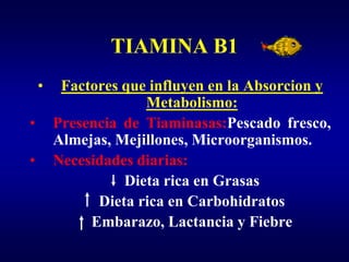 TIAMINA B1
    •    Factores que influyen en la Absorcion y
                     Metabolismo:
•       Presencia de Tiaminasas:Pescado fresco,
        Almejas, Mejillones, Microorganismos.
•       Necesidades diarias:
                  Dieta rica en Grasas
              Dieta rica en Carbohidratos
             Embarazo, Lactancia y Fiebre
 