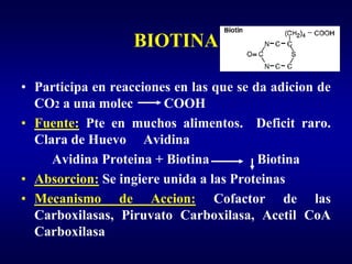 BIOTINA

• Participa en reacciones en las que se da adicion de
  CO2 a una molec       COOH
• Fuente: Pte en muchos alimentos. Deficit raro.
  Clara de Huevo Avidina
     Avidina Proteina + Biotina          Biotina
• Absorcion: Se ingiere unida a las Proteinas
• Mecanismo de Accion: Cofactor de las
  Carboxilasas, Piruvato Carboxilasa, Acetil CoA
  Carboxilasa
 