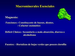 Macrominerales Esenciales


Magnesio:
Funciones:- Constituyente de huesos, dientes.
          - Cofactor enzimático

Déficit Clínico:- Secundario a mala absorción, diarrea o
                  alcoholismo


Fuentes: - Hortalizas de hojas verdes que poseen clorofila
 