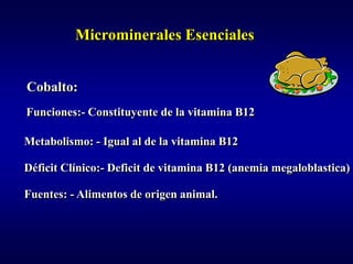 Microminerales Esenciales


Cobalto:
Funciones:- Constituyente de la vitamina B12

Metabolismo: - Igual al de la vitamina B12

Déficit Clínico:- Deficit de vitamina B12 (anemia megaloblastica)

Fuentes: - Alimentos de origen animal.
 