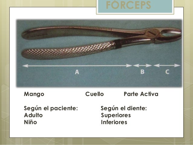 Resultado de imagen para PARTES DE UN FORCEPS DENTAL
