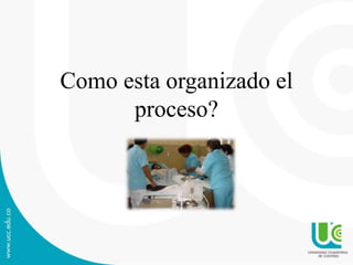 Como esta organizado el
proceso?
 