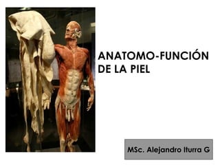 MSc. Alejandro Iturra G
ANATOMO-FUNCIÓN
DE LA PIEL
 