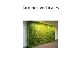 Jardines verticales 