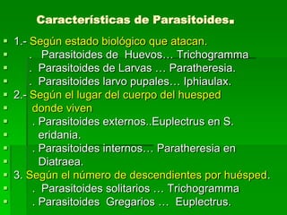 Características de Parasitoides.
 1.- Según estado biológico que atacan.
     . Parasitoides de Huevos… Trichogramma
     . Parasitoides de Larvas … Paratheresia.
     . Parasitoides larvo pupales… Iphiaulax.
 2.- Según el lugar del cuerpo del huesped
      donde viven
      . Parasitoides externos..Euplectrus en S.
        eridania.
      . Parasitoides internos… Paratheresia en
        Diatraea.
 3. Según el número de descendientes por huésped.
      . Parasitoides solitarios … Trichogramma
      . Parasitoides Gregarios … Euplectrus.
 