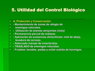 5. Utilidad del Control Biológico

   A. Protección y Conservación.
   - Mantenimiento de zonas de refugio de
     enemigos naturales.
   - Utilización de plantas atrayentes (maiz)
   - Permanencia parcial de malezas.
   - Aplicación de sustancias alimenticias: miel de abeja,
     levadura de cerveza.
   - Adecuado manejo de insecticidas.
   - TRASLADO de enemigos naturales.
   - Frutales: lavados, podas y evitar subida de hormigas.
 