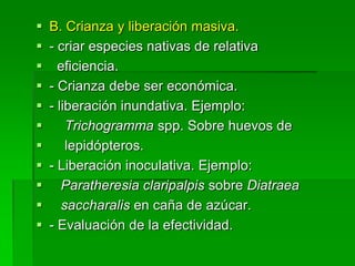    B. Crianza y liberación masiva.
   - criar especies nativas de relativa
     eficiencia.
   - Crianza debe ser económica.
   - liberación inundativa. Ejemplo:
       Trichogramma spp. Sobre huevos de
       lepidópteros.
   - Liberación inoculativa. Ejemplo:
      Paratheresia claripalpis sobre Diatraea
      saccharalis en caña de azúcar.
   - Evaluación de la efectividad.
 