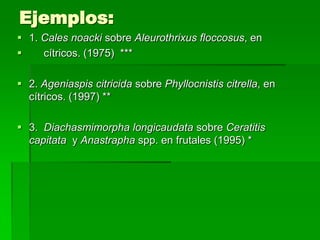 Ejemplos:
 1. Cales noacki sobre Aleurothrixus floccosus, en
    cítricos. (1975) ***

 2. Ageniaspis citricida sobre Phyllocnistis citrella, en
  cítricos. (1997) **

 3. Diachasmimorpha longicaudata sobre Ceratitis
  capitata y Anastrapha spp. en frutales (1995) *
 