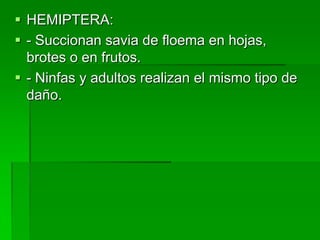  HEMIPTERA:
 - Succionan savia de floema en hojas,
  brotes o en frutos.
 - Ninfas y adultos realizan el mismo tipo de
  daño.
 