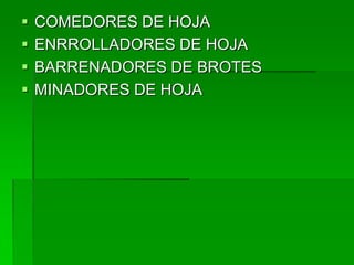    COMEDORES DE HOJA
   ENRROLLADORES DE HOJA
   BARRENADORES DE BROTES
   MINADORES DE HOJA
 