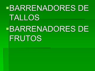 BARRENADORES DE
 TALLOS
BARRENADORES DE
 FRUTOS
 
