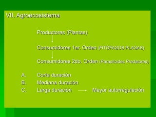 VII. Agroecosistema

           Productores (Plantas)

           Consumidores 1er. Orden (FITÓFAGOS PLAGAS)

           Consumidores 2do. Orden (Parasitoides Predatores)

     A.    Corta duración
     B.    Mediana duración
     C.    Larga duración          Mayor autorregulación
 