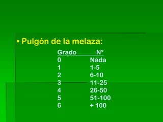 • Pulgón de la melaza:
          Grado     N°
          0       Nada
          1       1-5
          2       6-10
          3       11-25
          4       26-50
          5       51-100
          6       + 100
 