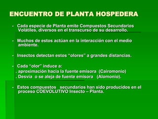 ENCUENTRO DE PLANTA HOSPEDERA
- Cada especie de Planta emite Compuestos Secundarios
  Volátiles, diversos en el transcurso de su desarrollo.

- Muchos de estos actúan en la interacción con el medio
  ambiente.

- Insectos detectan estos “olores” a grandes distancias.

- Cada “olor” induce a:
  . aproximación hacia la fuente emisora (Cairomonio)
  . Desvía o se aleja de fuente emisora (Alomonio).

- Estos compuestos secundarios han sido producidos en el
  proceso COEVOLUTIVO Insecto – Planta.
 