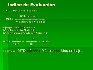 Indice de Evaluación
 MTD : Mosca – Trampa – Día

                Nº de moscas
  MTD = ----------------------------------------
          Nº de trampas x Nº de días

Ejemplo: Huerto de 100 Hás
Nº de Trampas McPhail : 10
Nº de moscas capturadas en 7 días : 14

         14                 14
MTD = ------------ = --------------- = 0,2000
        10 x 7            70

En General :   MTD inferior a 0,2 es considerado bajo.
.
 