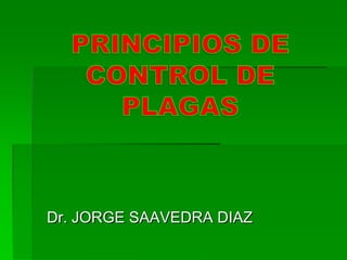 Dr. JORGE SAAVEDRA DIAZ
 