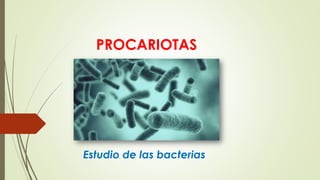 Estudio de las bacterias
PROCARIOTAS
 
