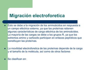 Migración electroforetica
 Esto se debe a la migración de los aminoácidos en respuesta a
un campo eléctrico externo, ya que las proteínas retienen
algunas características de carga eléctrica de los aminoácidos.
La mayoría de las cargas se debe a los grupos R, ya que los
extremos amino y carboxilo participan en enlaces peptídicos que
constituyen las proteínas.
 La movilidad electroforetica de las proteínas depende de la carga
y el tamaño de la molécula, así como de otros factores
 Se clasifican en:
 