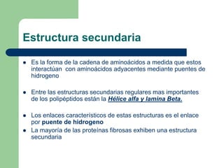 Estructura secundaria
 Es la forma de la cadena de aminoácidos a medida que estos
interactúan con aminoácidos adyacentes mediante puentes de
hidrogeno
 Entre las estructuras secundarias regulares mas importantes
de los polipéptidos están la Hélice alfa y lamina Beta.
 Los enlaces característicos de estas estructuras es el enlace
por puente de hidrogeno
 La mayoría de las proteínas fibrosas exhiben una estructura
secundaria
 