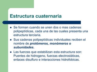 Estructura cuaternaria
 Se forman cuando se unen dos o mas cadenas
polipeptídicas, cada una de las cuales presenta una
estructura terciaria.
 Sus cadenas polipeptídicas individuales reciben el
nombre de protómeros, monómeros o
subunidades.
 Las fuerzas que estabilizan esta estructura son:
Puentes de hidrogeno, fuerzas electrostáticas,
enlaces disulfuro e interacciones hidrofobicas.
 