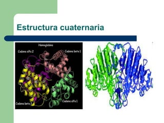 Estructura cuaternaria
 