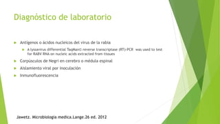 Diagnóstico de laboratorio
 Antígenos o ácidos nucleicos del virus de la rabia
 A lyssavirus differential TaqMan© reverse transcriptase (RT)-PCR was used to test
for RABV RNA on nucleic acids extracted from tissues
 Corpúsculos de Negri en cerebro o médula espinal
 Aislamiento viral por inoculación
 Inmunofluorescencia
Jawetz. Microbiologia medica.Lange.26 ed. 2012
 