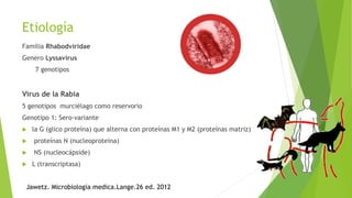 Etiología
Familia Rhabodviridae
Genero Lyssavirus
7 genotipos
Virus de la Rabia
5 genotipos murciélago como reservorio
Genotipo 1: Sero-variante
 la G (glico proteína) que alterna con proteínas M1 y M2 (proteínas matriz)
 proteínas N (nucleoproteína)
 NS (nucleocápside)
 L (transcriptasa)
Jawetz. Microbiologia medica.Lange.26 ed. 2012
 