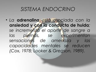 SISTEMA ENDOCRINO
• La adrenalina está asociada con la
  ansiedad y con la conducta de huida;
  se incrementa el aporte de sangre a
  las    piernas,    se   experimentan
  sensaciones de amenaza y las
  capacidades mentales se reducen
  (Cox, 1978; Looker & Gregson, 1989).
 