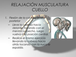 RELAJACIÓN MUSCULATURA
            CUELLO
1. Flexión de la cabeza antero-
   posterior
  – Lleve la cabeza hacia
      delante, tocando con el
      mentón su pecho, luego
      vuelva a la posición central.
  – Realice el mismo ejercicio
      llevando la cabeza hacia
      atrás tocando con la nuca la
      espalda.
 