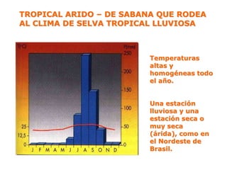 TROPICAL ARIDO – DE SABANA QUE RODEA
AL CLIMA DE SELVA TROPICAL LLUVIOSA
Temperaturas
altas y
homogéneas todo
el año.
Una estación
lluviosa y una
estación seca o
muy seca
(árida), como en
el Nordeste de
Brasil.
 