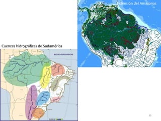 30
Cuencas hidrográficas de Sudamérica
Extensión del Amazonas
 
