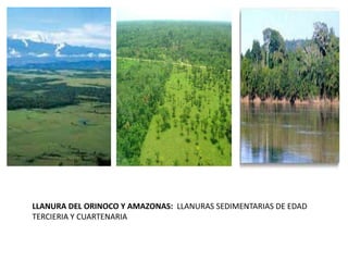 LLANURA DEL ORINOCO Y AMAZONAS: LLANURAS SEDIMENTARIAS DE EDAD
TERCIERIA Y CUARTENARIA
 