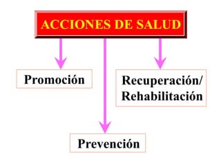 Promoción
ACCIONES DE SALUD
Recuperación/
Rehabilitación
Prevención
 