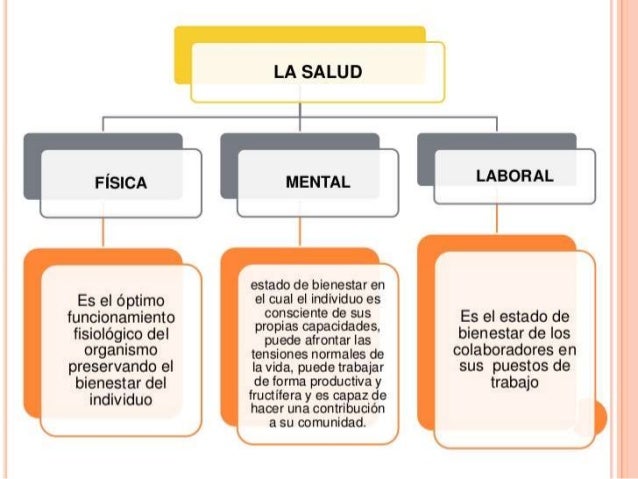 Clase de salud integral y componentes