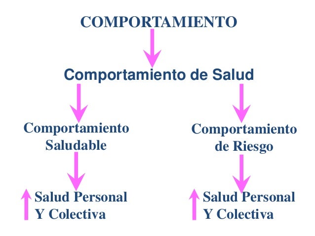 Clase de salud integral y componentes