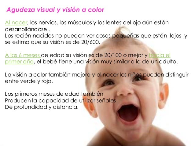 Desarrollo Sensorial Del Nino